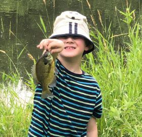 Young boy holding up fish