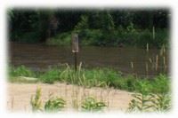 Cottonwood River Beach